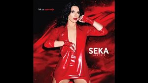 SEKA ALEKSIC - BRADA OD TRI DANA - (AUDIO 2015) HD