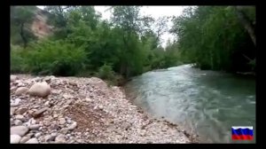 утренняя сводка СВО на 29 мая # что происходит прямо сейчас СВО на 29 мая #