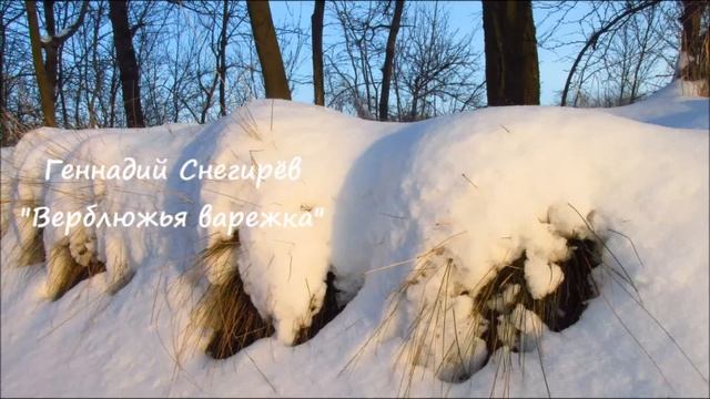 Г. Снегирёв "Верблюжья варежка" смотреть онлайн