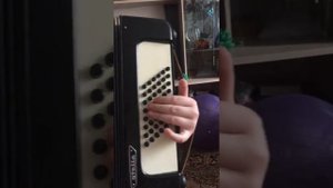 Народная песня василёк на аккордеоне