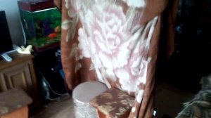 Дом из стульев и пледов (легко)