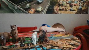 ОБЗОР ИГРУШЕЧНЫХ ЖИВОТНЫХ!!!