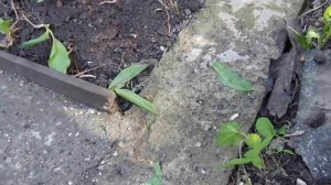 Как Дешево Сделать Фундамент Своими Руками ?! Для Бани, Душа из Бетона