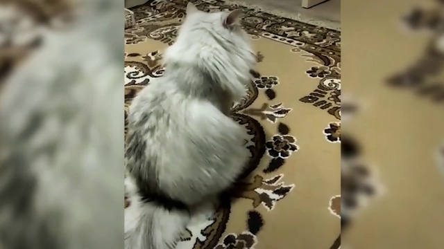 Василий