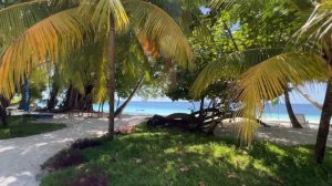МАЛЬДИВЫ 2022 | FIHALHOHI ISLAND RESORT 4*
