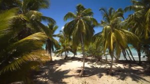 ДОМИНИКАНА 2024. СТОИТ ЛИ ЕХАТЬ? Обзор на развлечения Пунта Каны. Остров Саона. Багги. VLOG №1