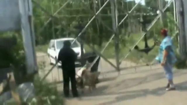 партия защиты бизнеса и предпринимательства