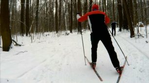 Лыжная тренировка в Измайлово