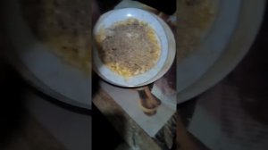 Кормление цыплят с первых дней жизни. Старт.