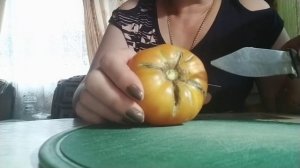 Томат "Медовый салют".