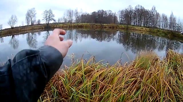 Ловля щуки на поплавок на живца 2019 (ловля хищника ) смотреть онлайн