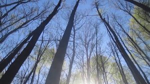 Про Свет Лен и е   это Свобода.  Часть пятая.