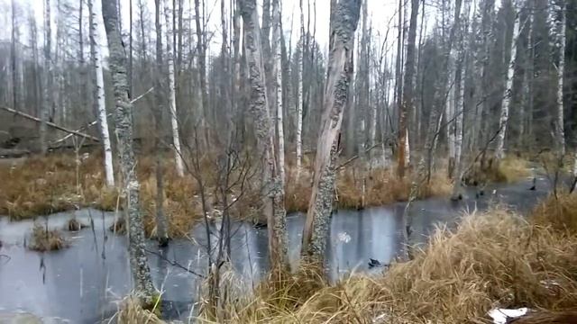 Off-road бездорожье.Minsk X200 & Arctic Cat 700. /Double X/ смотреть онлайн