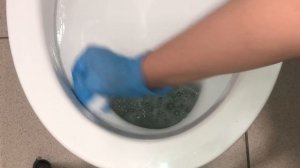 СЕКРЕТЫ ИДЕАЛЬНОГО  УНИТАЗА  ?