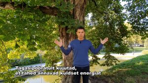 упражнение "Дерево"