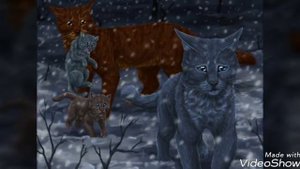 Коты-воители Камень и Невидимка