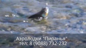 Аэролодка "Пиранья"  на крайнем севере летом