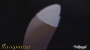 [Коты воители]~Звездоцап и Саша~Зачем~ЗакаЗ~