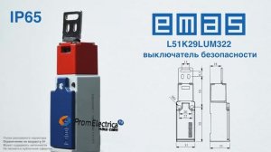 L51K29LUM322  Концевой выключатель безопасности NO + NC Emas