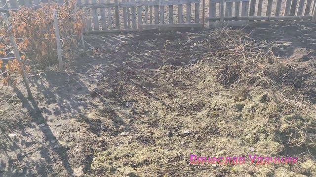 Сезон 2023 открыт!!! смотреть онлайн