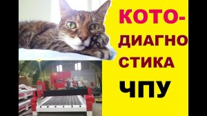 КОТОДИАГНОСТИКА ЧПУ фрезерного станка Станком DeKart S1835  на ВИБРАЦИЮ  Прикол с котом )