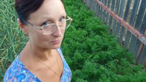 Видео привет с 6 соток 28 июня 2024 года.