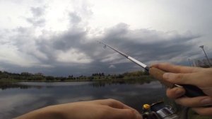 Ловля окунька на каролинку)