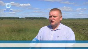 Возделывание залежных земель