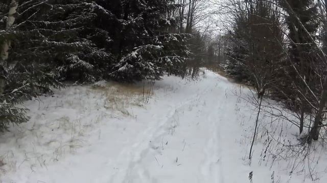 первый выход ,три трофея 20.11.22 смотреть онлайн