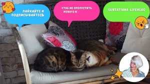 Давайте знакомиться!