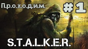 Уютный ламповый стрим. S.T.A.L.K.E.R Shadow of chernobyl. Всем фанатам посвящается)