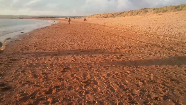 Our Irish Wolfhounds on Instow Beach