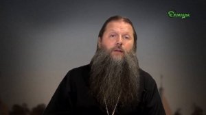 Введение. Старец Лев. Протоиерей Артемий Владимиров. Оптина Пустынь. Елицы