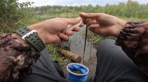 Рыбалка на Пикер. Пруд в черте города.