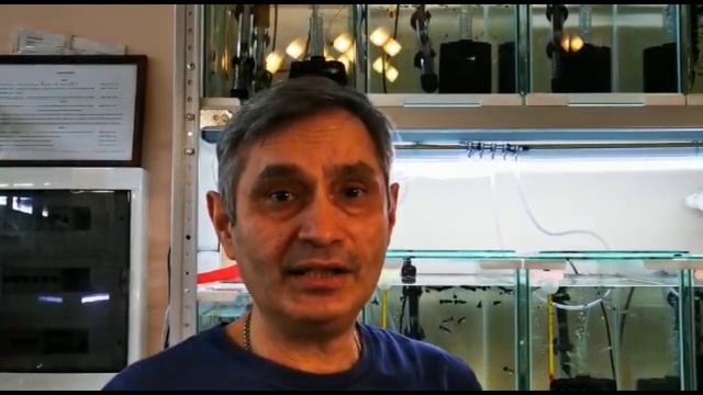 Делим мальков гуппи на самцов и самок смотреть онлайн