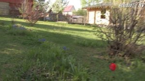 лето как это было 22году