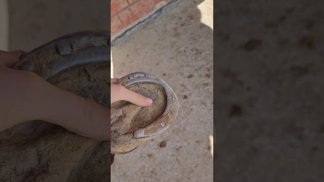 каштаны, подковы и копыта. Зачем ковать лошадь? что такое стрелка? смотреть онлайн