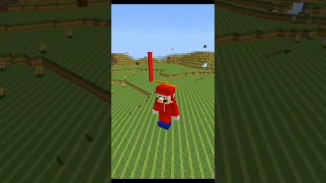 Super Mario Bros Mods Minecraft PE