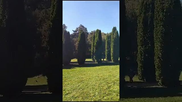 Национальный парк. Кисловодск. смотреть онлайн