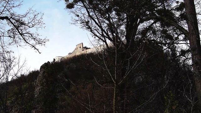 OLYMPUS OMD M10 MK III 07 04 2021 DEVA SPRING 2021 смотреть онлайн