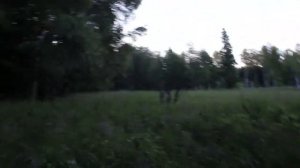 ИСТОКИ РЕКИ ЯУЗА. ЛЕТО. 2018Г.