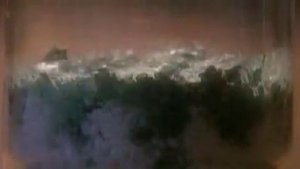 Эксперимент над рисом с водой