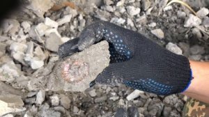 Раскопки АММОНИТОВ в Саратовской области