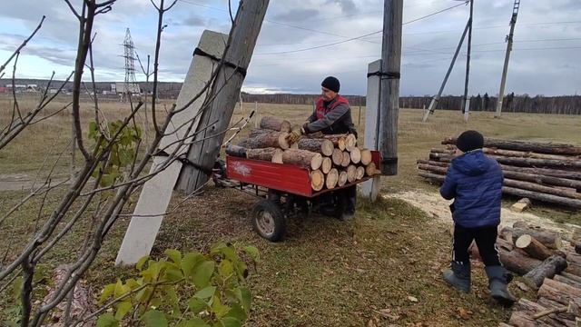 Дела житейские // Готовлю печенье без сахара ?