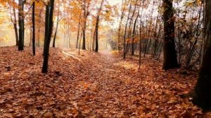 Антонин Дворжак - Славянский танец №2 (10)- Калимба