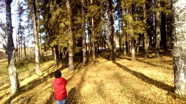 Красновишерск, утро в парке. 7.10.20.