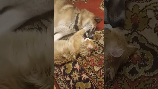 вдвоём с тобой