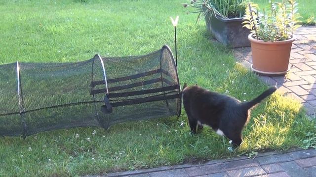 Купил Ваське загон смотреть онлайн