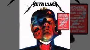 04. Moth Into Flame..