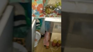 Как перегорает нить накала у лампы дневного света